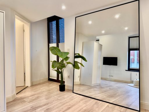 Heller Raum mit großem Spiegel, Pflanze und TV-Anlage an der Wand.